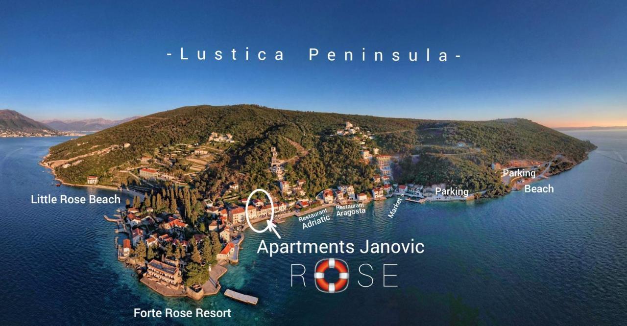 Rose - Apartmani Janovic Luštica Luaran gambar